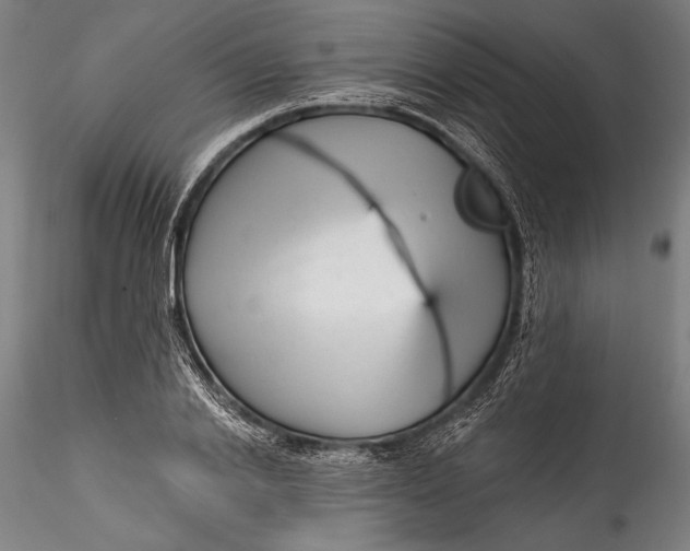 X0000115530838200911271344