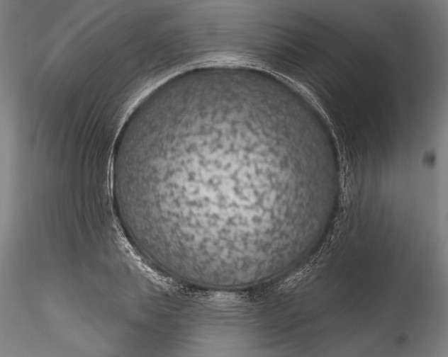 X0000115530839200911271344