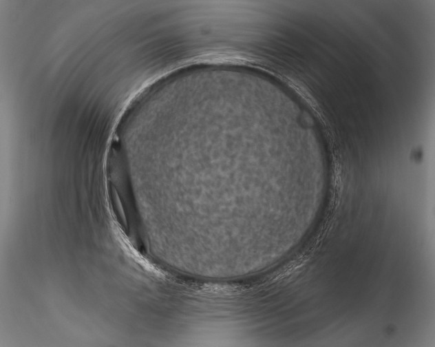 X0000115530840200911271344