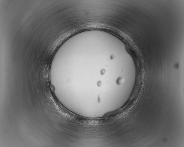 X0000115530841200911271344