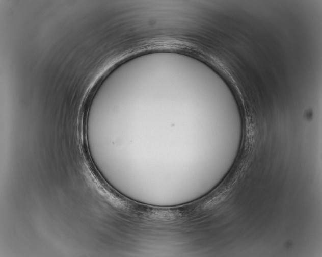 X0000115530843200911271344