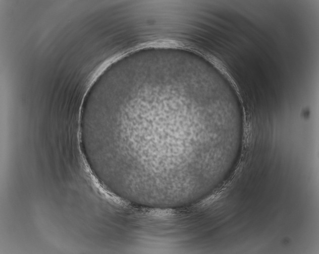 X0000115530845200911271344