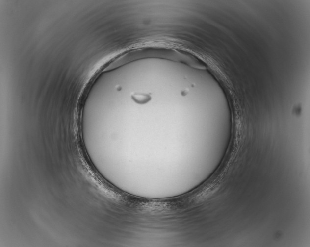 X0000115530846200911271344