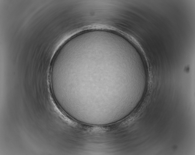 X0000115530847200911271344