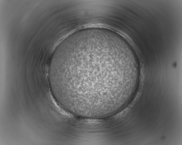 X0000115530849200911271344