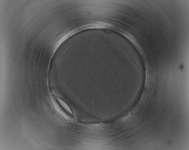 X0000115530850200911271344