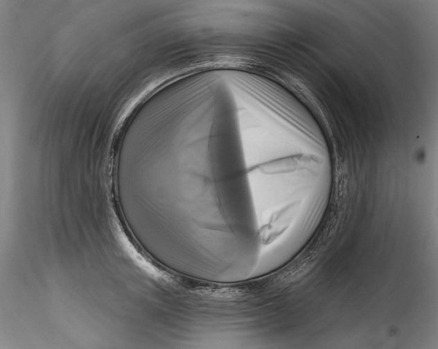 X0000115530851200911271344