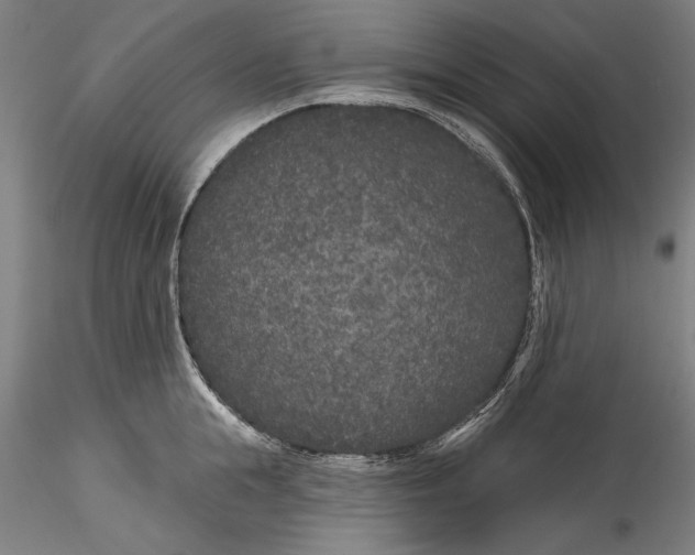 X0000115530855200911271345