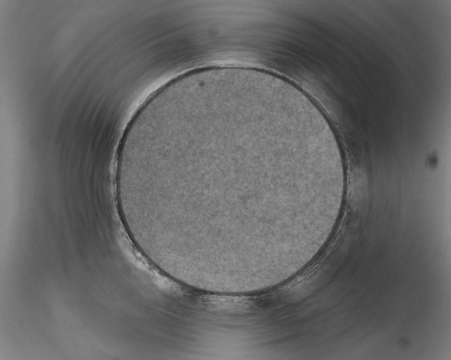 X0000115530856200911271345