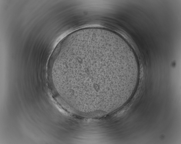 X0000115530858200911271345