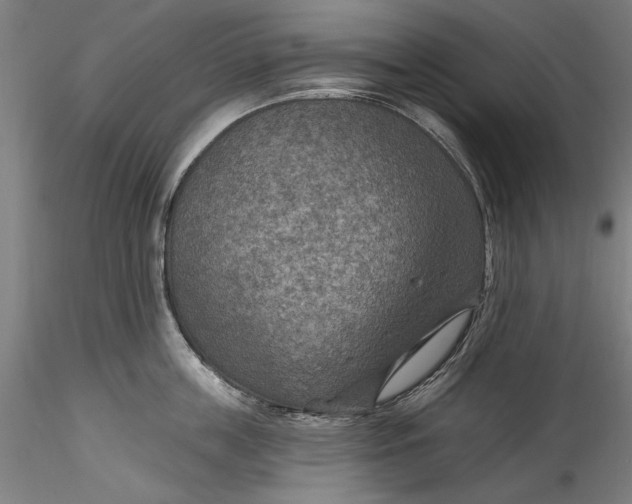 X0000115530859200911271345