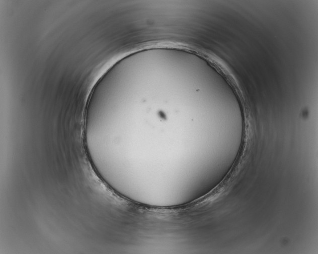 X0000115530860200911271345