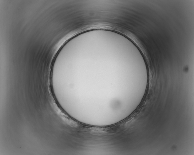 X0000115530861200911271345