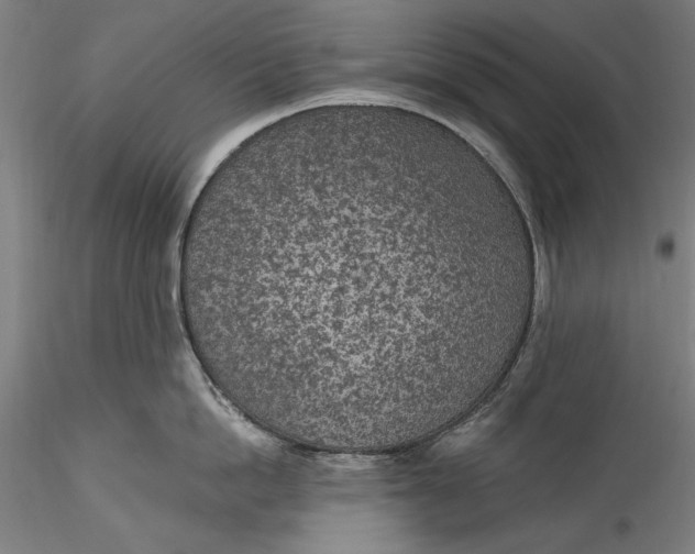 X0000115530862200911271345