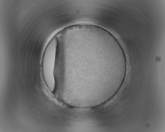 X0000115530864200911271345