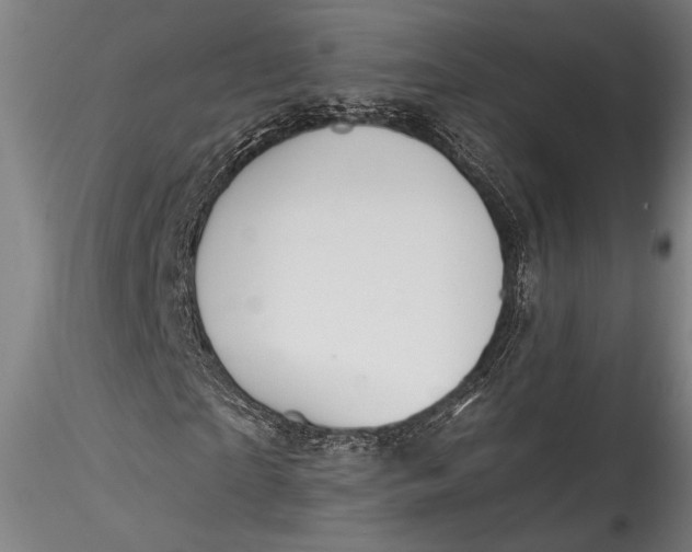 X0000115530865200911271344