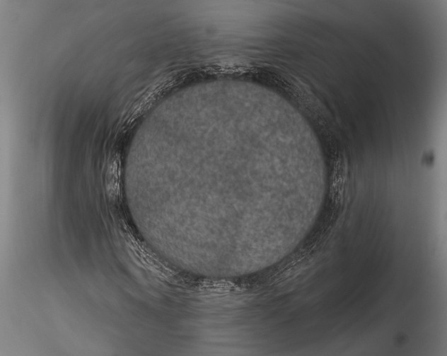 X0000115530866200911271344