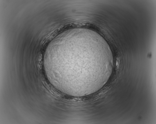 X0000115530867200911271344