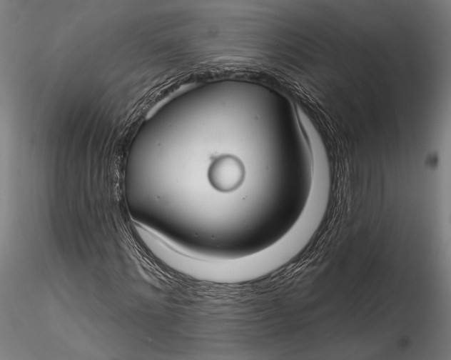 X0000115530868200911271344