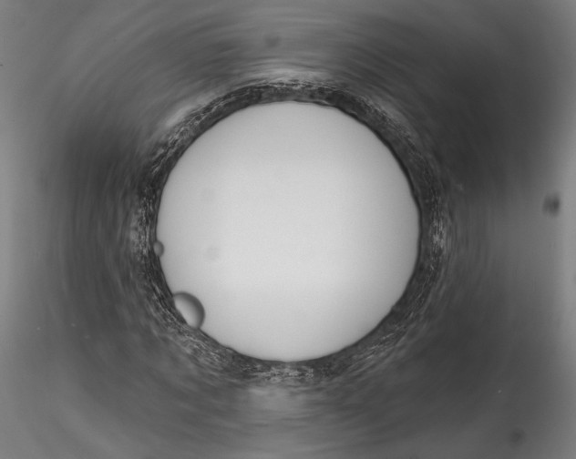 X0000115530869200911271344