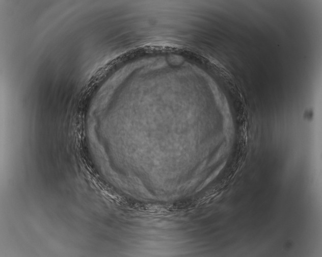 X0000115530870200911271344