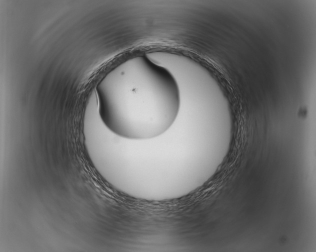 X0000115530872200911271344