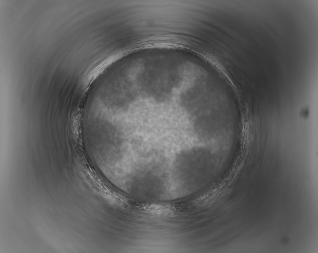 X0000115530874200911271344