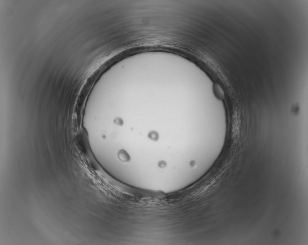 X0000115530876200911271344