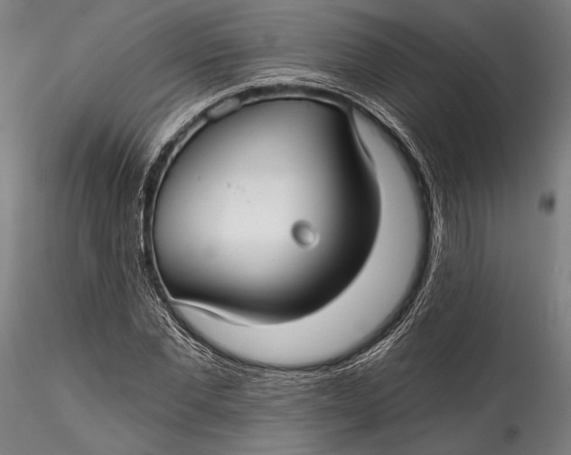 X0000115530877200911271344