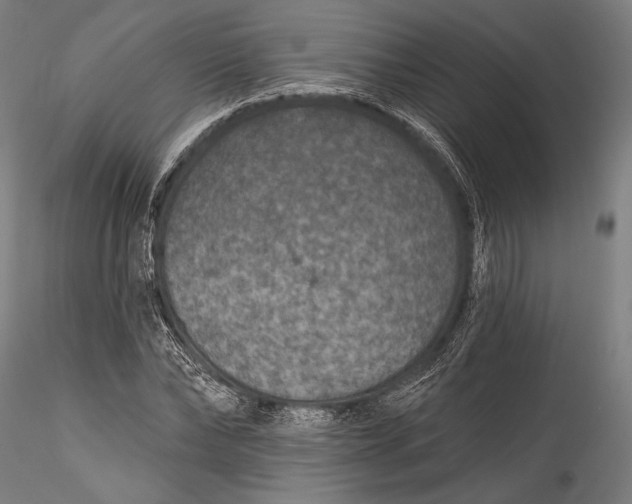 X0000115530878200911271344