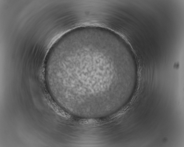 X0000115530879200911271344