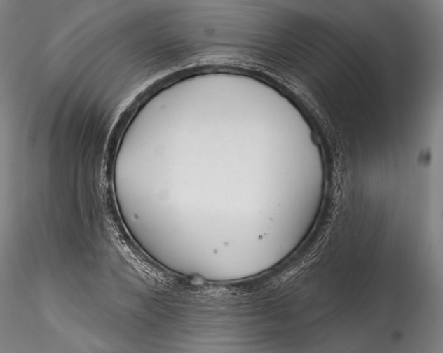 X0000115530880200911271344