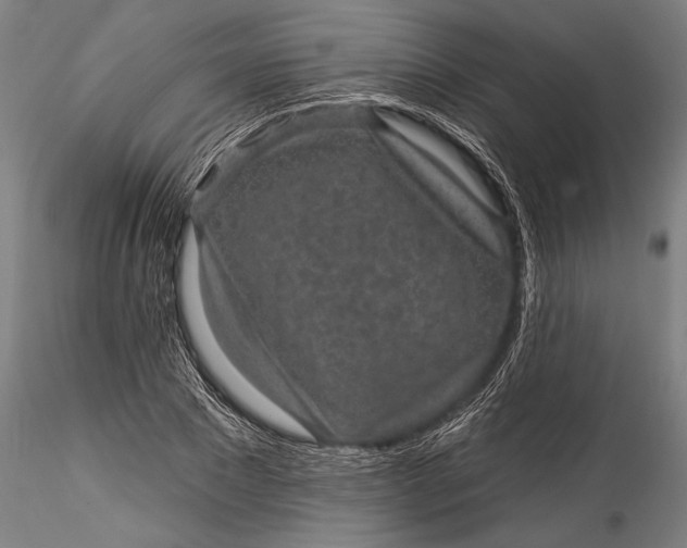 X0000115530881200911271344