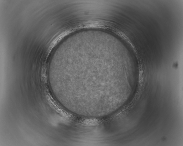 X0000115530882200911271344