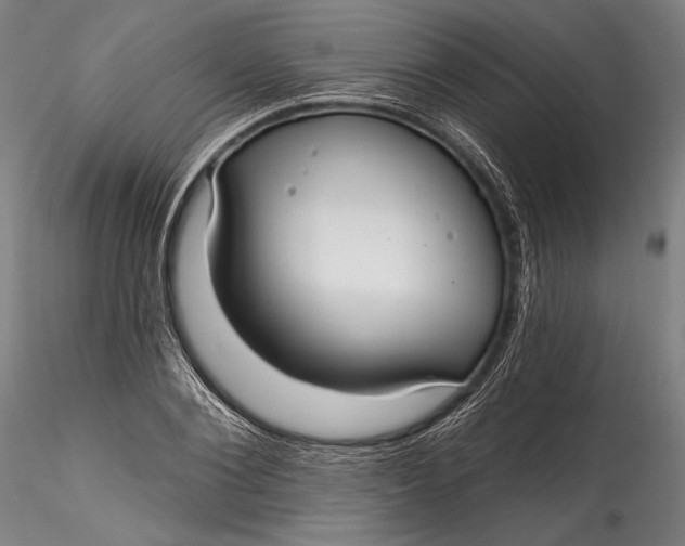 X0000115530884200911271344