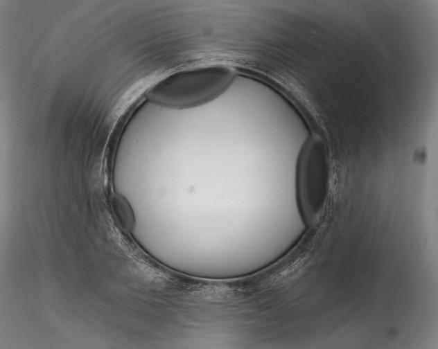 X0000115530885200911271344