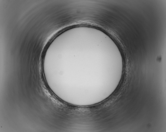 X0000115530888200911271344