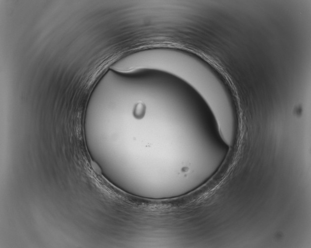 X0000115530889200911271344