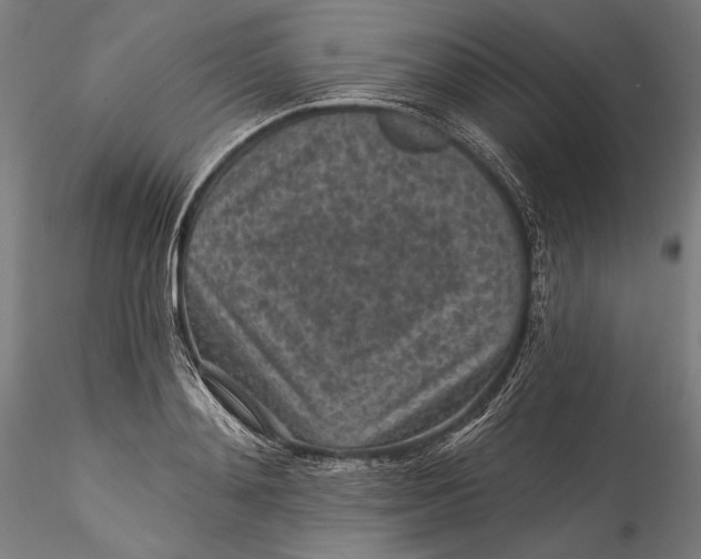 X0000115530892200911271343