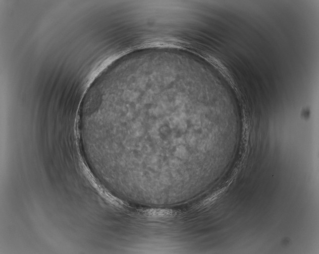 X0000115530893200911271343