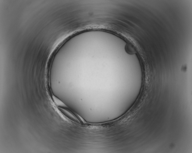 X0000115530894200911271343