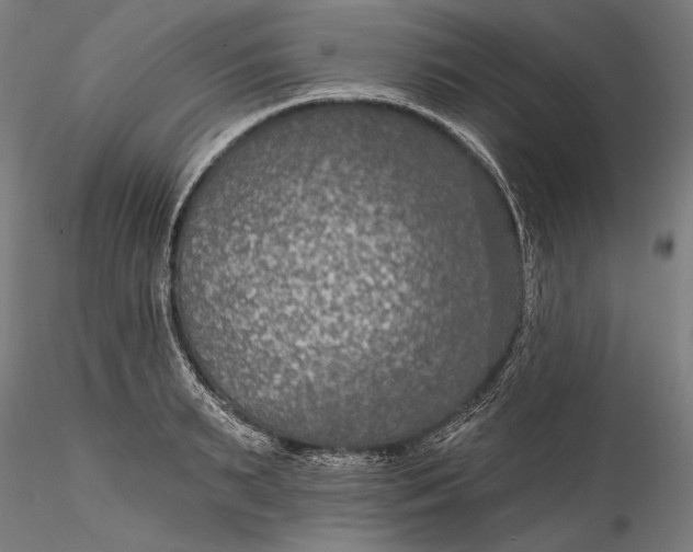 X0000115530895200911271343