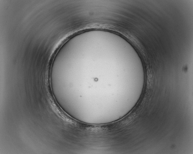 X0000115530896200911271343