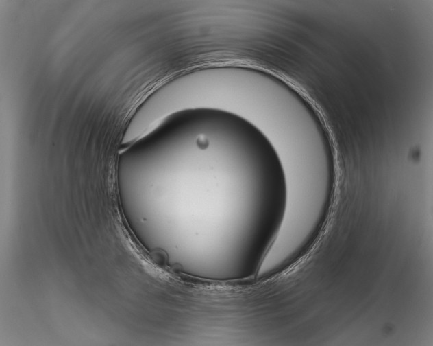 X0000115530897200911271343