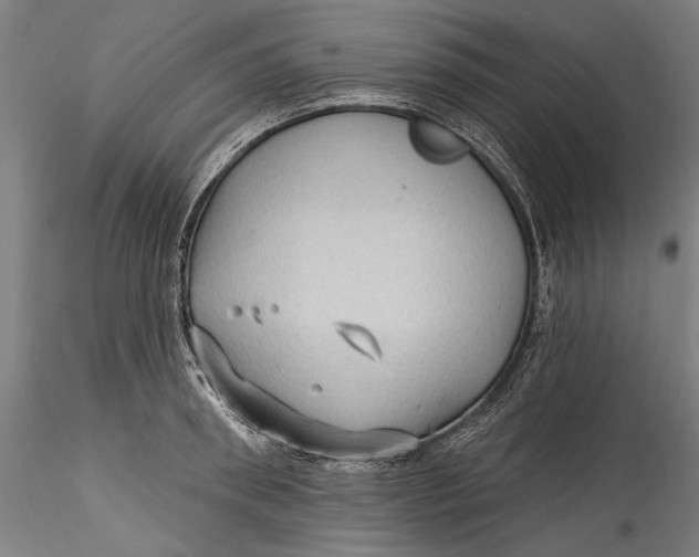 X0000115530898200911271343