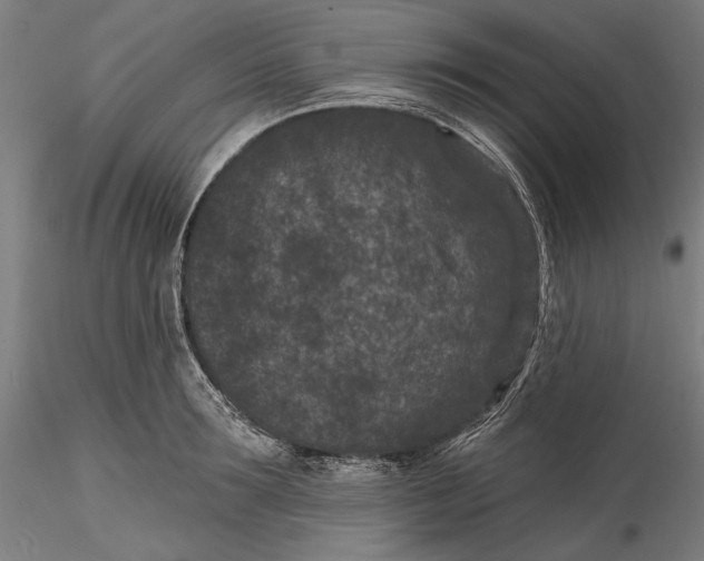 X0000115530899200911271343