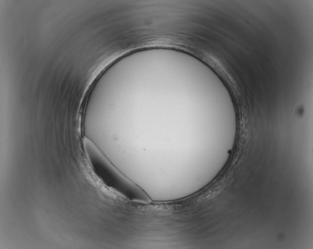 X0000115530900200911271343