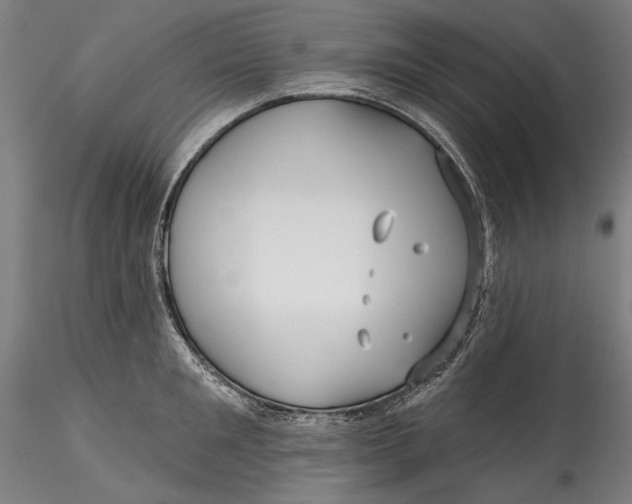 X0000115530901200911271343