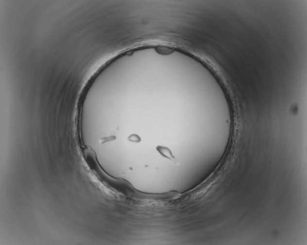 X0000115530902200911271343