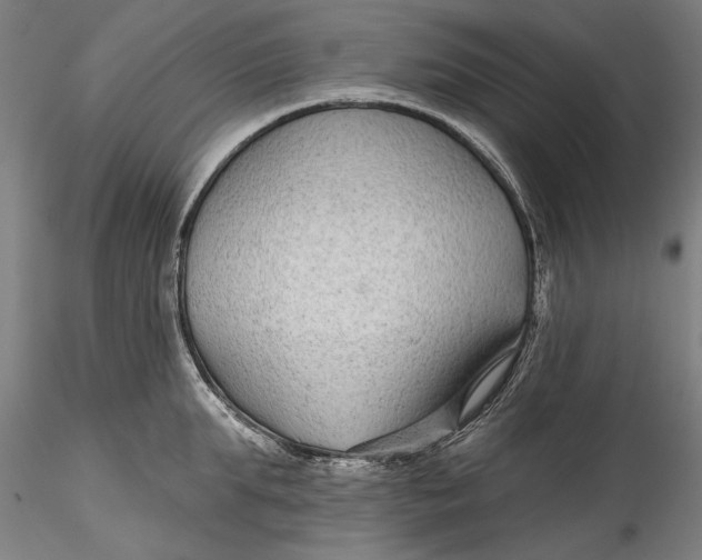 X0000115530903200911271343